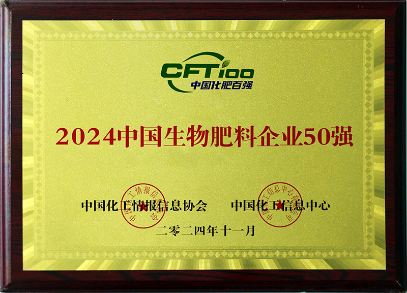 2024�Ї������ЙC(j��)������I(y��)50��(qi��ng)